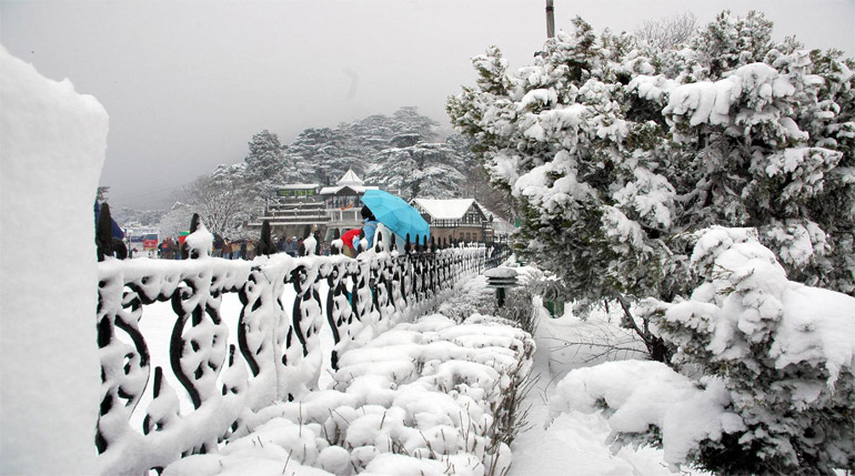 Honeymoon in Himachal