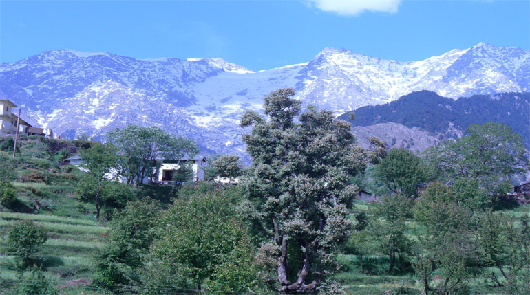 Dharamshala Travel Guide