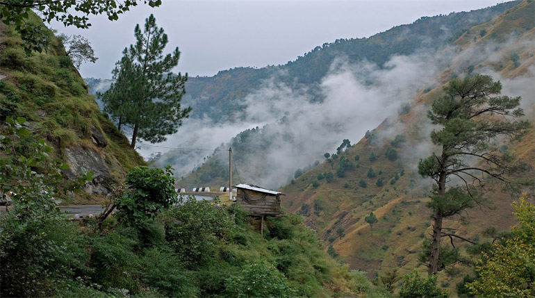 Kasauli Travel Guide