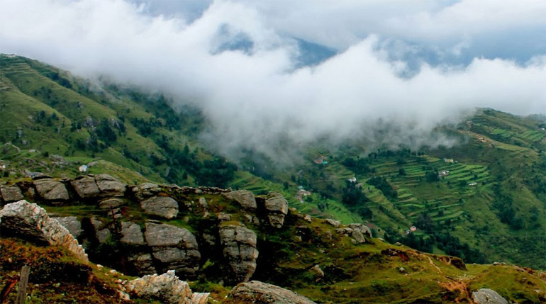 Wildlife in Himachal