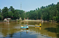 Best of Himachal Tours